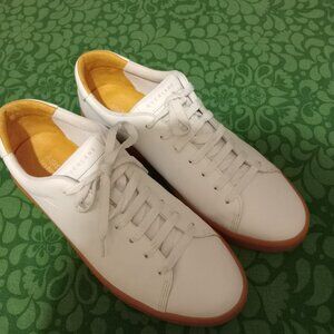 Everlane White Sneakers